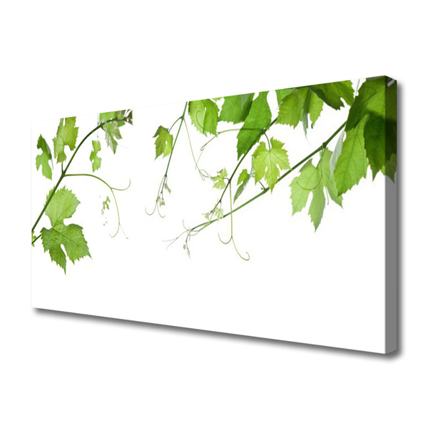 Quadro em tela Ramos Folhas Natureza Flores
