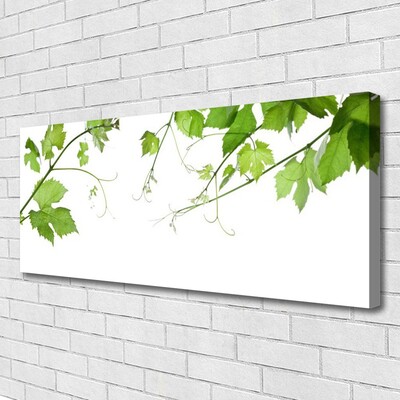 Quadro em tela Ramos Folhas Natureza Flores