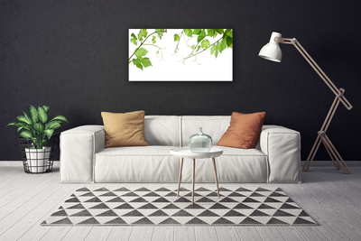 Quadro em tela Ramos Folhas Natureza Flores