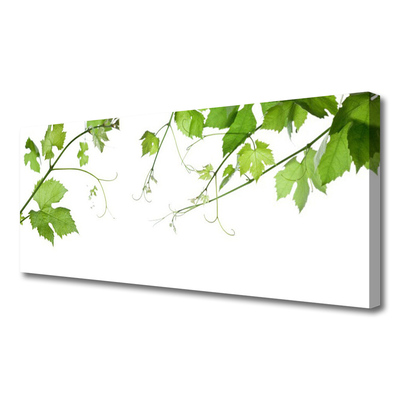 Quadro em tela Ramos Folhas Natureza Flores