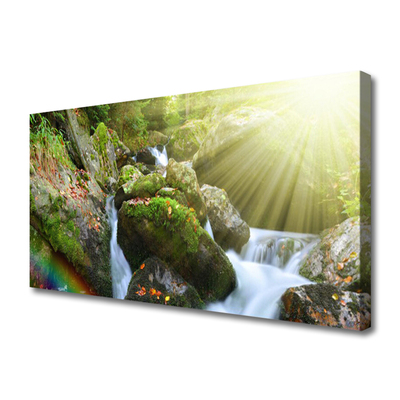 Quadro canvas Cachoeira Rainbow Nature Stream
