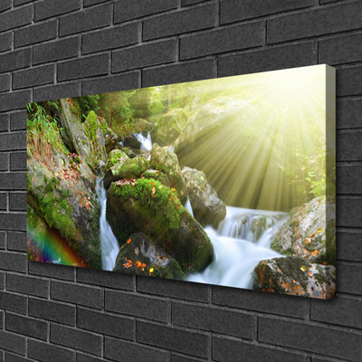 Quadro canvas Cachoeira Rainbow Nature Stream