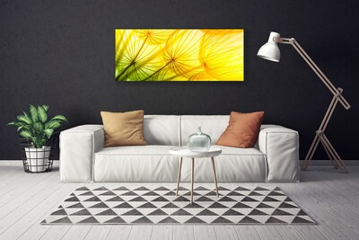 Quadro canvas Flores de dente-de-leão Natureza