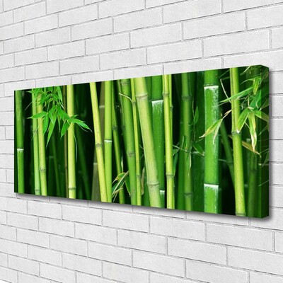 Quadro em tela Floresta de Bambu Bambu Natureza