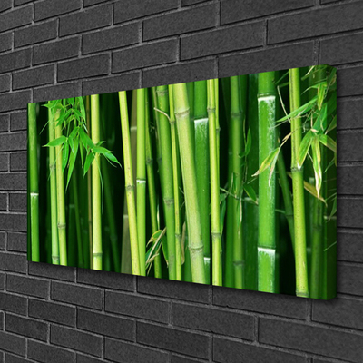 Quadro em tela Floresta de Bambu Bambu Natureza