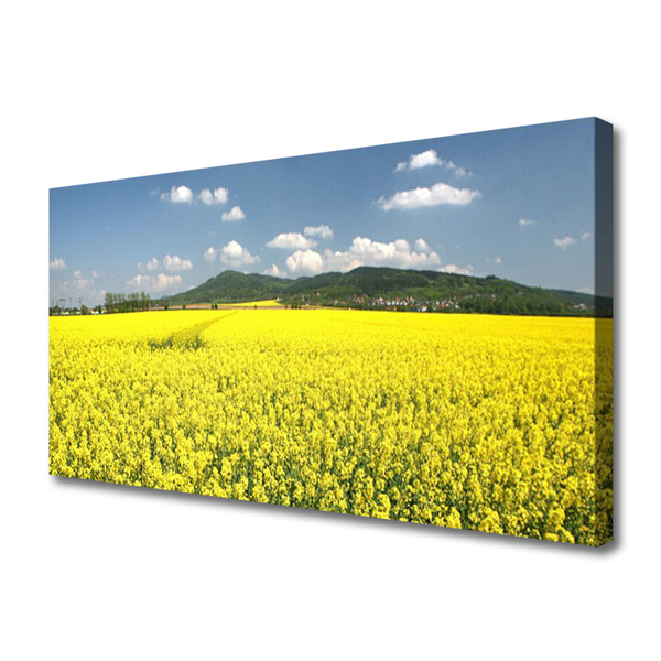 Quadro canvas Campo Prado Natureza Colza