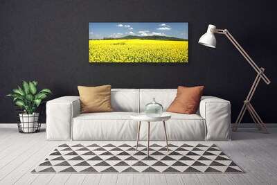 Quadro canvas Campo Prado Natureza Colza