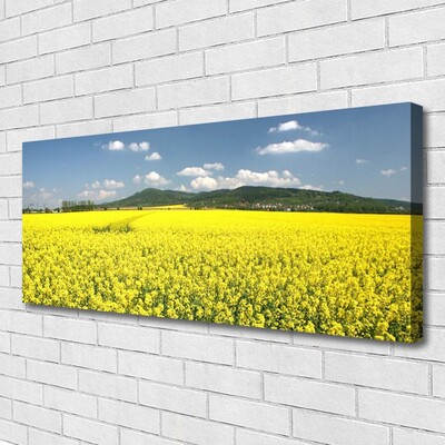 Quadro canvas Campo Prado Natureza Colza