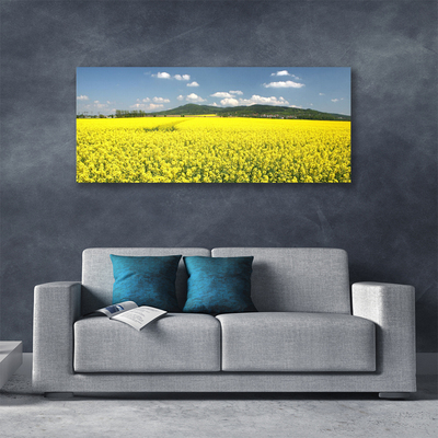 Quadro canvas Campo Prado Natureza Colza