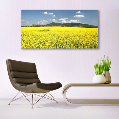 Quadro canvas Campo Prado Natureza Colza