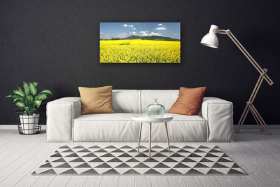 Quadro canvas Campo Prado Natureza Colza