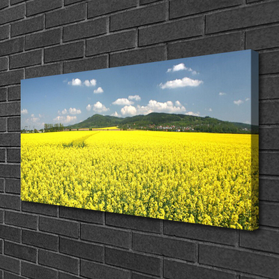 Quadro canvas Campo Prado Natureza Colza