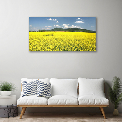 Quadro canvas Campo Prado Natureza Colza