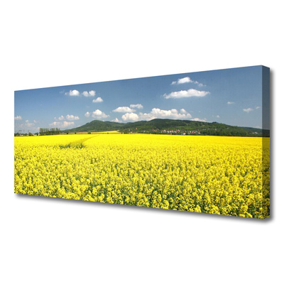 Quadro canvas Campo Prado Natureza Colza