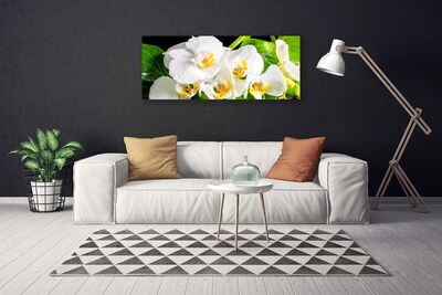 Quadro em tela Flores de orquídeas Natureza