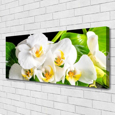 Quadro em tela Flores de orquídeas Natureza