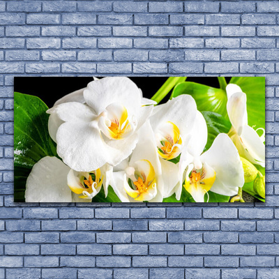 Quadro em tela Flores de orquídeas Natureza