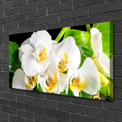 Quadro em tela Flores de orquídeas Natureza