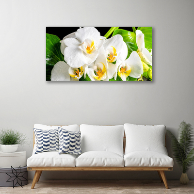 Quadro em tela Flores de orquídeas Natureza