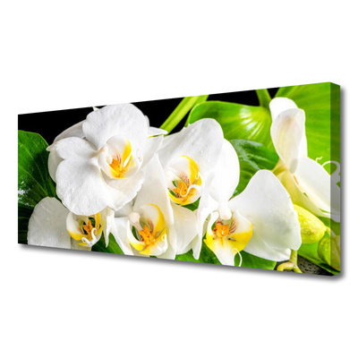 Quadro em tela Flores de orquídeas Natureza