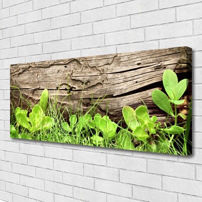 Quadro em tela Folhas de grama Flores