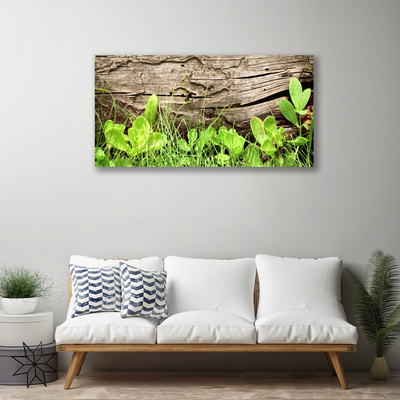 Quadro em tela Folhas de grama Flores