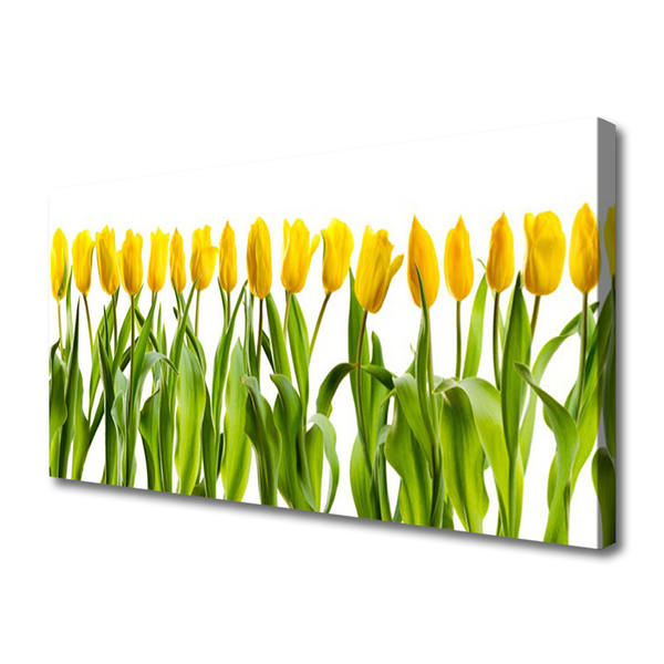 Quadro em tela Tulipas Flores Natureza