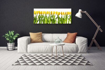 Quadro em tela Tulipas Flores Natureza