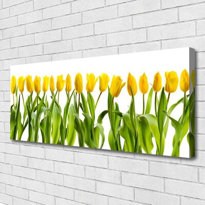 Quadro em tela Tulipas Flores Natureza