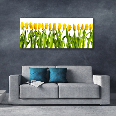Quadro em tela Tulipas Flores Natureza