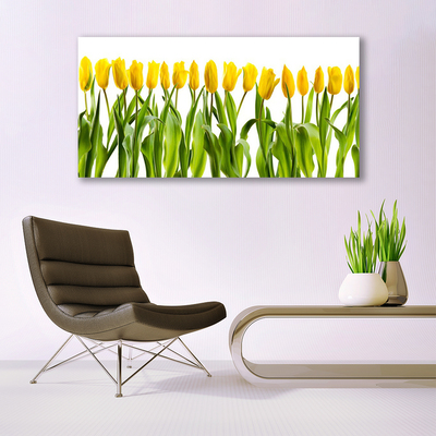 Quadro em tela Tulipas Flores Natureza