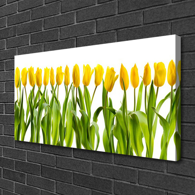 Quadro em tela Tulipas Flores Natureza