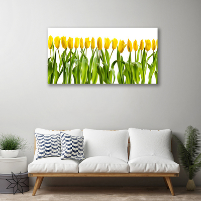 Quadro em tela Tulipas Flores Natureza