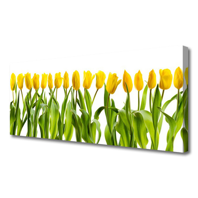 Quadro em tela Tulipas Flores Natureza