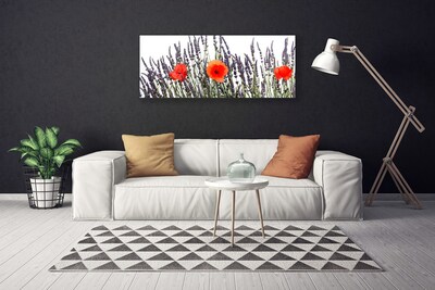 Quadro canvas Flores Papoulas Campo Grama