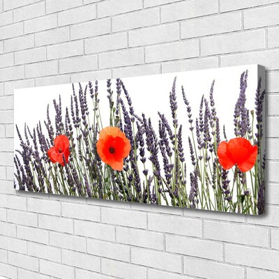 Quadro canvas Flores Papoulas Campo Grama