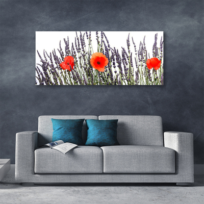 Quadro canvas Flores Papoulas Campo Grama