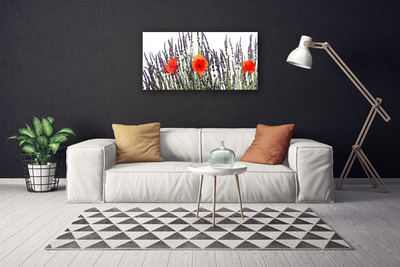 Quadro canvas Flores Papoulas Campo Grama