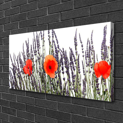 Quadro canvas Flores Papoulas Campo Grama