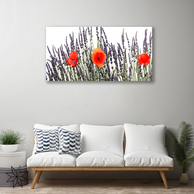 Quadro canvas Flores Papoulas Campo Grama