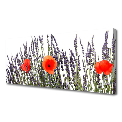 Quadro canvas Flores Papoulas Campo Grama