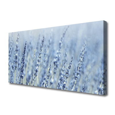 Quadro canvas Flores Orelhas Prado Natureza