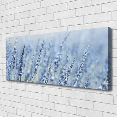 Quadro canvas Flores Orelhas Prado Natureza