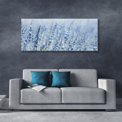 Quadro canvas Flores Orelhas Prado Natureza
