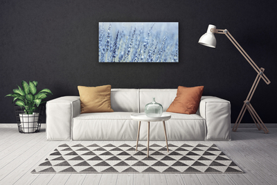 Quadro canvas Flores Orelhas Prado Natureza