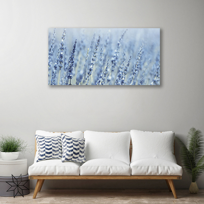 Quadro canvas Flores Orelhas Prado Natureza