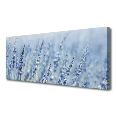Quadro canvas Flores Orelhas Prado Natureza