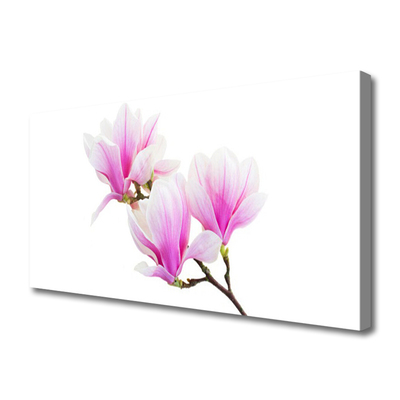 Quadro canvas Flores Planta Natureza