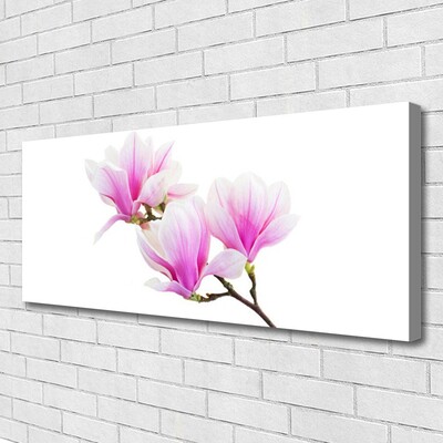 Quadro canvas Flores Planta Natureza