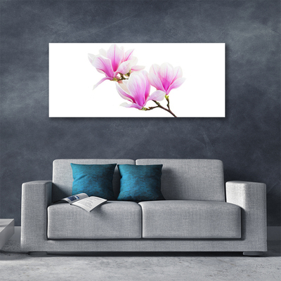 Quadro canvas Flores Planta Natureza